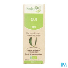 Charger l'image dans la galerie, Herbalgem Maretak Maceraat 50ml

