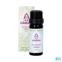 Afbeelding in Gallery-weergave laden, Sjankara Eucalyptus Radiata Ess. Olie Bio 11ml
