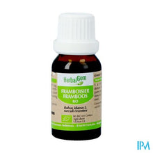 Charger l'image dans la galerie, Herbalgem Frambozen Maceraat 15ml
