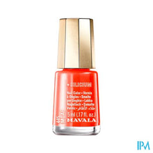 Load image into Gallery viewer, Mavala Vao Mini Color 445 Moab 5ml
