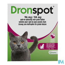 Afbeelding in Gallery-weergave laden, Dronspot 96mg/24mg Spot-on Kat Groot >5-8kg Pip 2
