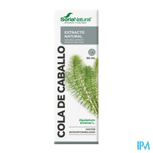 Charger l'image dans la galerie, Soria Equisetum Arvense Xxi Extr. Fl. 50ml
