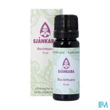 Load image into Gallery viewer, Sjankara Ravintsara Ess. Olie Bio 11ml
