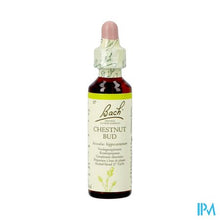 Charger l'image dans la galerie, Bach Flower Remedie 07 Chestnut Bud 20ml
