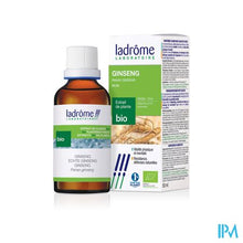 Charger l'image dans la galerie, Ladrome Panax Ginseng /echte Ginseng 50ml
