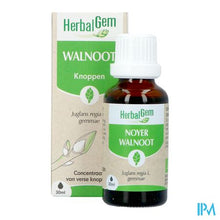 Afbeelding in Gallery-weergave laden, Herbalgem Walnoot Bio 30ml

