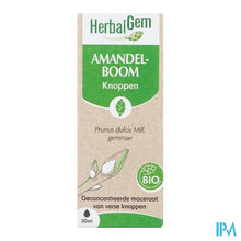 Afbeelding in Gallery-weergave laden, Herbalgem Amandel Bio 30ml
