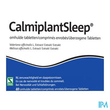 Afbeelding in Gallery-weergave laden, CalmiplantSleep 160Mg/80Mg Omhulde Tabl 40
