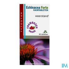 Load image into Gallery viewer, Fytostar Echinacea Forte Kauwtabl 60
