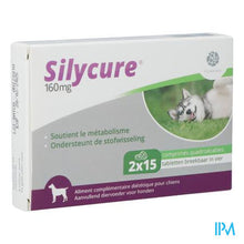 Load image into Gallery viewer, Silycure 160mg Comp 2x15
