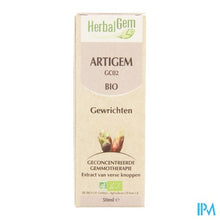 Charger l'image dans la galerie, Herbalgem Artigem Complex 50ml
