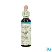 Afbeelding in Gallery-weergave laden, Bach Flower Remedie 27 Rock Water 20ml
