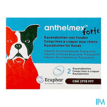 Afbeelding in Gallery-weergave laden, Anthelmex Forte Kauwtabl. Hond 2
