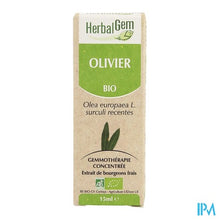 Charger l'image dans la galerie, Herbalgem Olijfboom Maceraat 15ml
