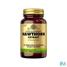 Charger l'image dans la galerie, Solgar Hawthorn Extract Meidoorn V-caps 60

