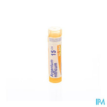 Load image into Gallery viewer, Argentum Nitricum 15ch Gr 4g Boiron
