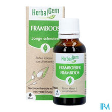 Load image into Gallery viewer, Herbalgem Frambozenstruik Bio 30ml

