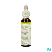 Charger l'image dans la galerie, Bach Flower Remedie 37 Wild Rose 20ml
