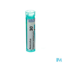 Afbeelding in Gallery-weergave laden, Aesculus Hippocastanum 30k Gr 4g Boiron
