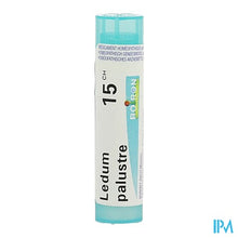 Afbeelding in Gallery-weergave laden, Ledum Palustre 15ch Gr 4g Boiron

