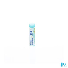 Charger l&#39;image dans la galerie, Arnica Montana 200k Gl Boiron
