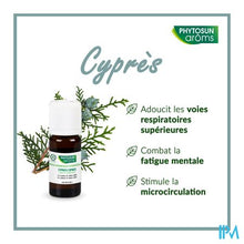 Afbeelding in Gallery-weergave laden, Phytosun Cipres Eco 10ml

