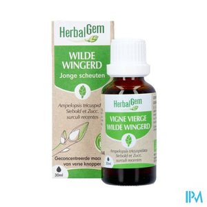 Herbalgem Wilde Wingerd Bio 30ml