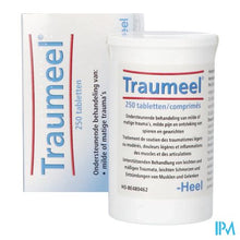 Afbeelding in Gallery-weergave laden, HEEL TRAUMEEL 250 TABL
