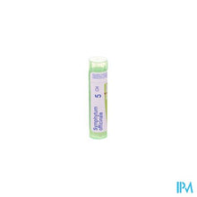 Afbeelding in Gallery-weergave laden, Symphytum Officinale 5ch Gr 4g Boiron
