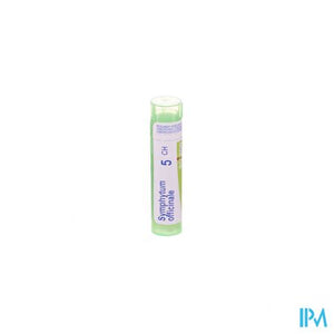 Symphytum Officinale 5ch Gr 4g Boiron