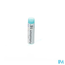 Charger l'image dans la galerie, Folliculinum 15ch Gl Boiron
