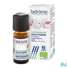 Charger l'image dans la galerie, Ladrome Gaultheria Frangrantissima/wintergreen10ml
