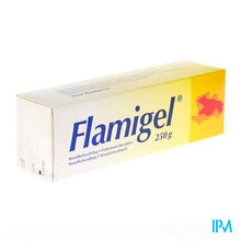 Load image into Gallery viewer, Flamigel Tube 250g
