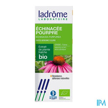Charger l'image dans la galerie, Ladrome Echinacea Purpurea/rode Zonnehoed 100ml
