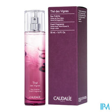 Load image into Gallery viewer, Caudalie Eau Fraiche The Des Vignes 50ml Nf
