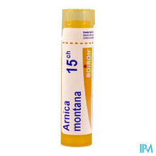 Charger l'image dans la galerie, Arnica Montana 15ch Gr 4g Boiron
