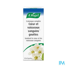 Load image into Gallery viewer, A.Vogel Crataegus Complex 50ml
