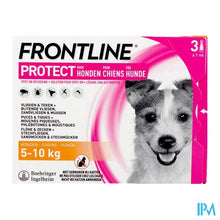 Afbeelding in Gallery-weergave laden, Frontline Protect Spot On Opl Hond 5-10kg Pipet 3
