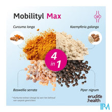 Afbeelding in Gallery-weergave laden, Mobilityl Max Tabl 90+15 Nf
