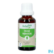 Load image into Gallery viewer, Herbalgem Wijnstok Maceraat Bio 30ml

