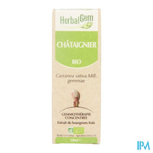 Charger l'image dans la galerie, Herbalgem Kastanje Maceraat 50ml
