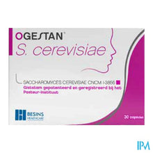 Charger l'image dans la galerie, Ogestan S.cerevisiae 500mg
