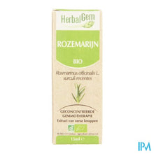 Afbeelding in Gallery-weergave laden, Herbalgem Rozemarijn Maceraat 15ml
