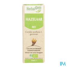 Afbeelding in Gallery-weergave laden, Herbalgem Hazelaar Maceraat 15ml
