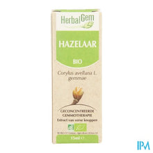 Charger l'image dans la galerie, Herbalgem Hazelaar Maceraat 15ml

