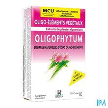 Afbeelding in Gallery-weergave laden, Oligophytum Mn-cu Tube Micro-comp 3x100 Holistica
