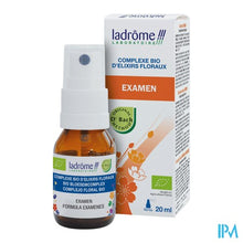 Charger l'image dans la galerie, Ladrome Examenspray 20ml
