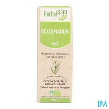 Afbeelding in Gallery-weergave laden, Herbalgem Rozemarijn Maceraat 50ml
