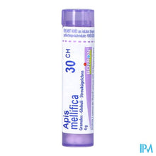 Afbeelding in Gallery-weergave laden, Apis Mellifica 30ch Gr 4g Boiron
