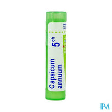 Load image into Gallery viewer, Capsicum Annuum 5ch Gr 4g Boiron
